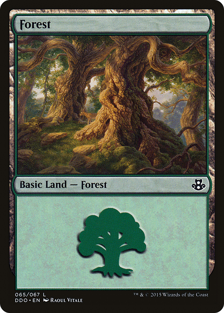 Forest (DDO-065) - Duel Decks: Elspeth vs. Kiora