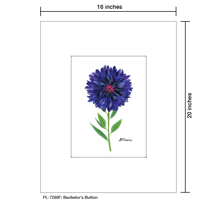 Bachelor's Button, Print (#7299F)