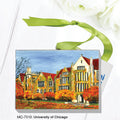 University of Chicago, Mini Canvas (MC-7310A)