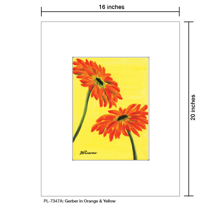 Gerber in Orange & Yellow, Print (#7347A)