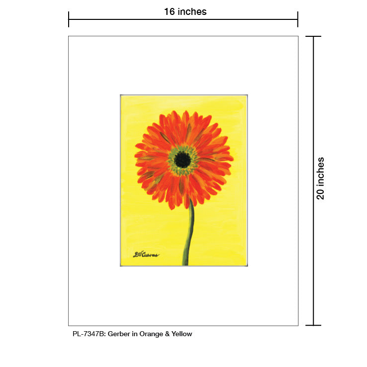 Gerber in Orange & Yellow, Print (#7347B)