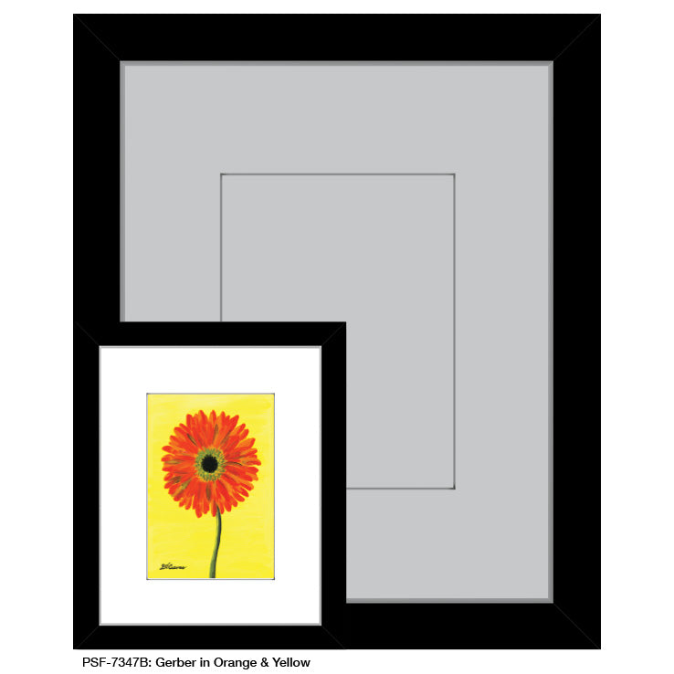Gerber in Orange & Yellow, Print (#7347B)