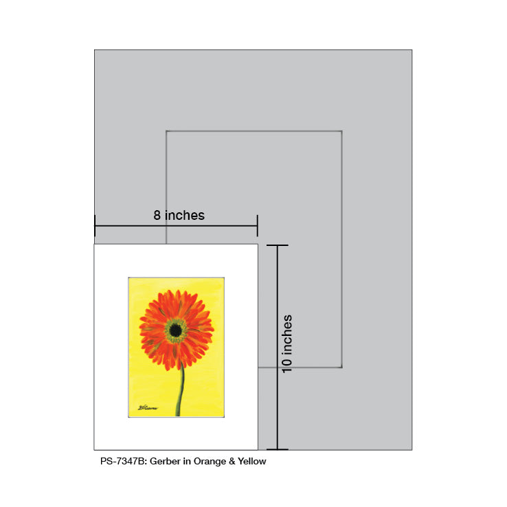 Gerber in Orange & Yellow, Print (#7347B)