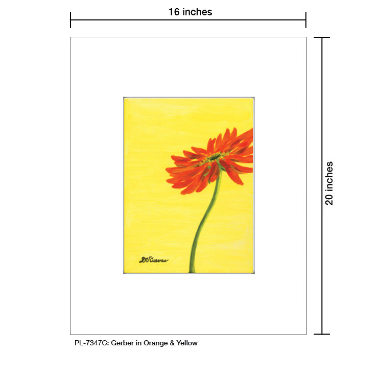 Gerber in Orange & Yellow, Print (#7347C)