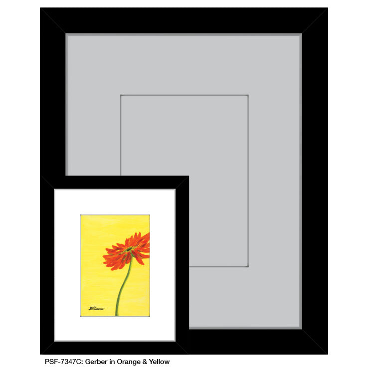 Gerber in Orange & Yellow, Print (#7347C)