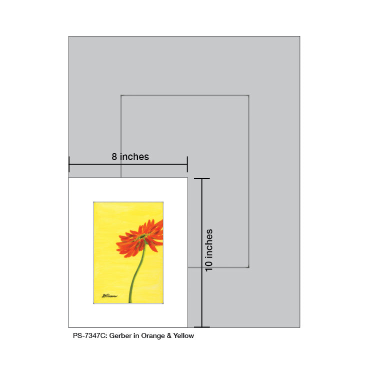 Gerber in Orange & Yellow, Print (#7347C)
