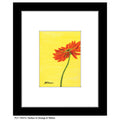 Gerber in Orange & Yellow, Print (#7347C)