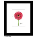 Double, Print (#7555B)