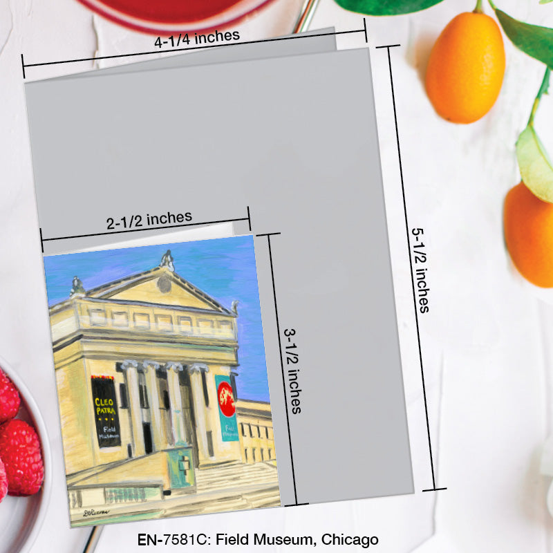 Field Museum, Chicago, Greeting Card (#7581C)