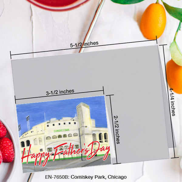 Comiskey Park, Chicago, Greeting Card (#7650B)
