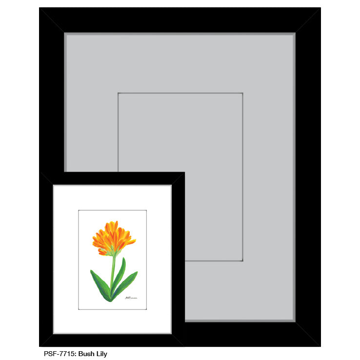Bush Lily, Print (#7715A)