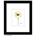 Poppy Lucid, Print (#7787A)