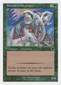 Southern Elephant (S99-142) - Starter 1999