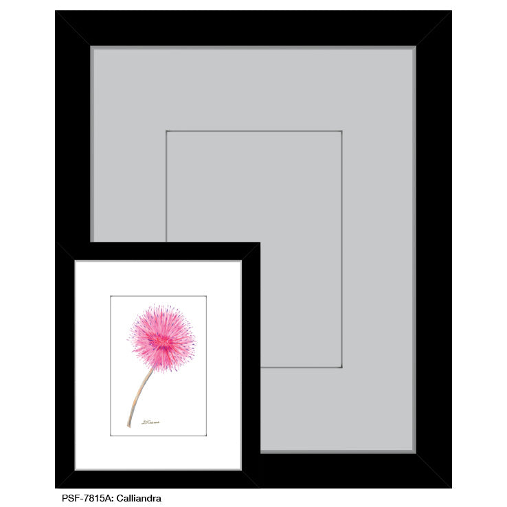 Calliandra, Print (#7815A)