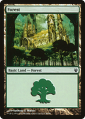 Forest (DDJ-089) - Duel Decks: Izzet vs. Golgari
