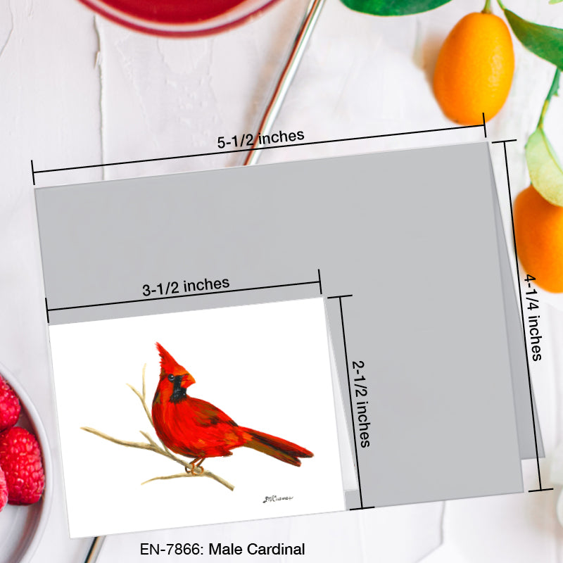 Male Cardinal, Greeting Card (#7866H)
