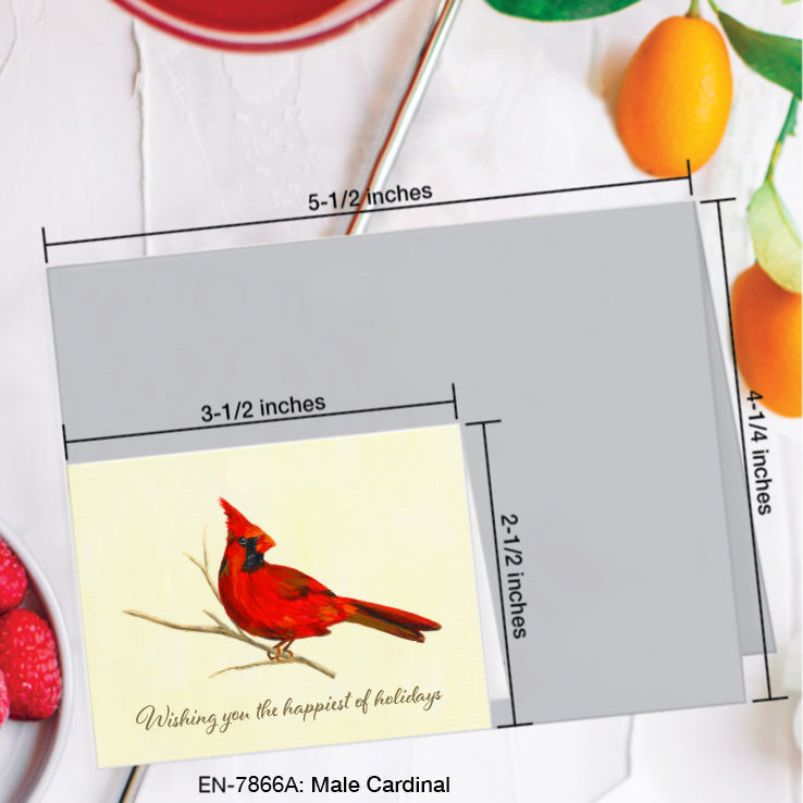 Male Cardinal, Greeting Card (#7866A)