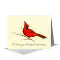 Male Cardinal, Greeting Card (#7866A)