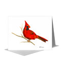 Male Cardinal, Greeting Card (#7866H)