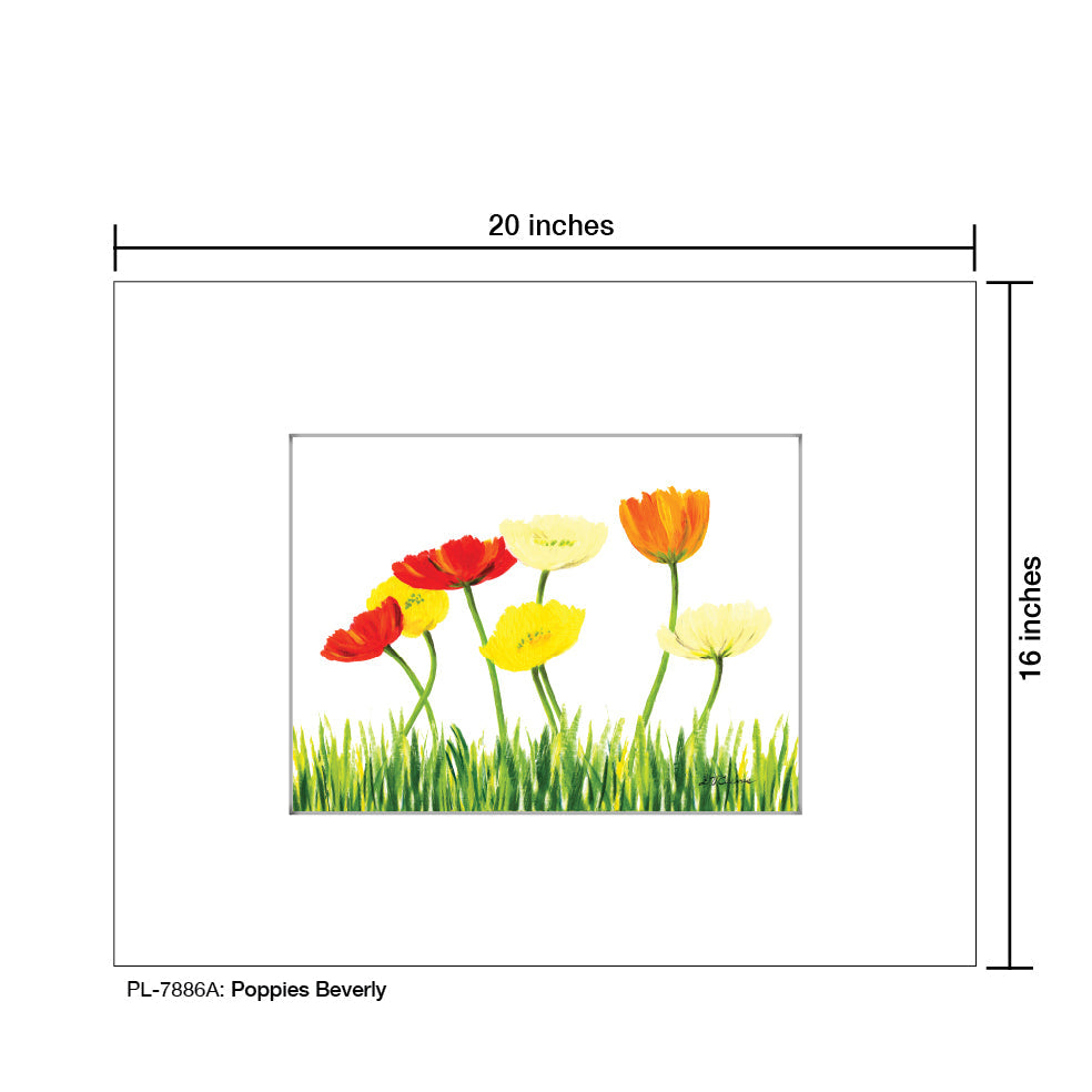 Poppies Beverly, Print (#7886A)