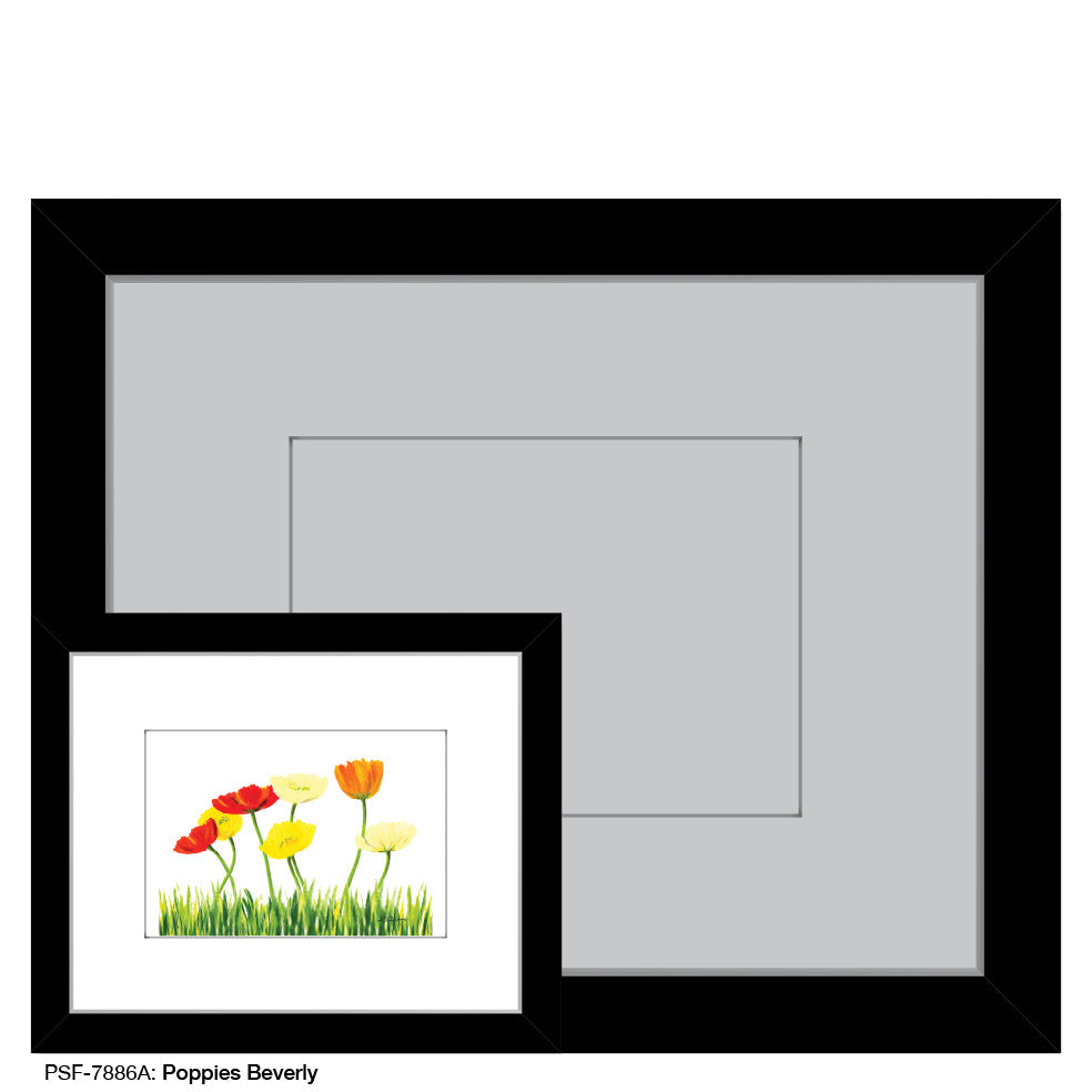Poppies Beverly, Print (#7886A)