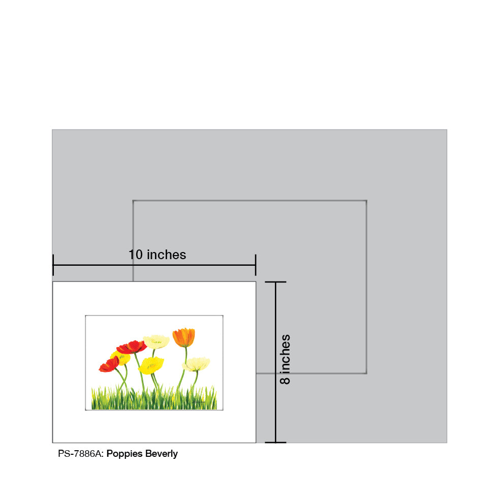 Poppies Beverly, Print (#7886A)
