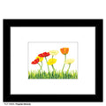 Poppies Beverly, Print (#7886A)