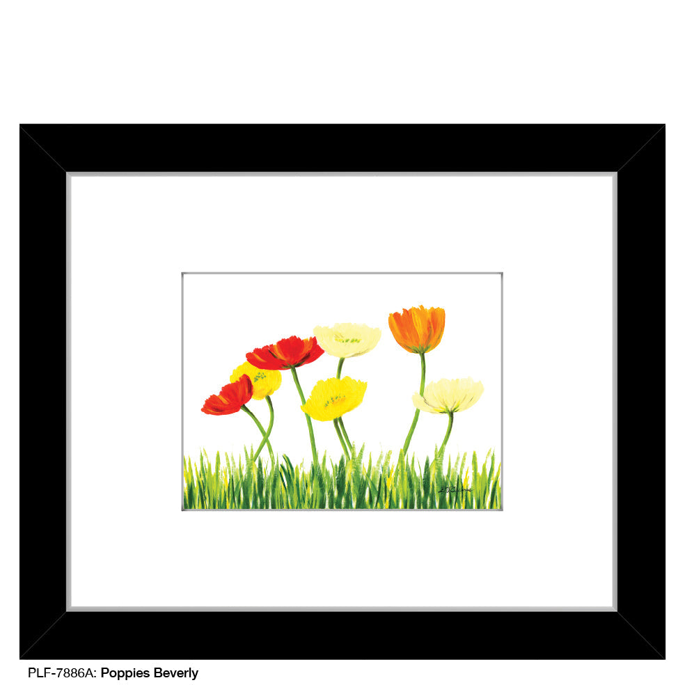Poppies Beverly, Print (#7886A)