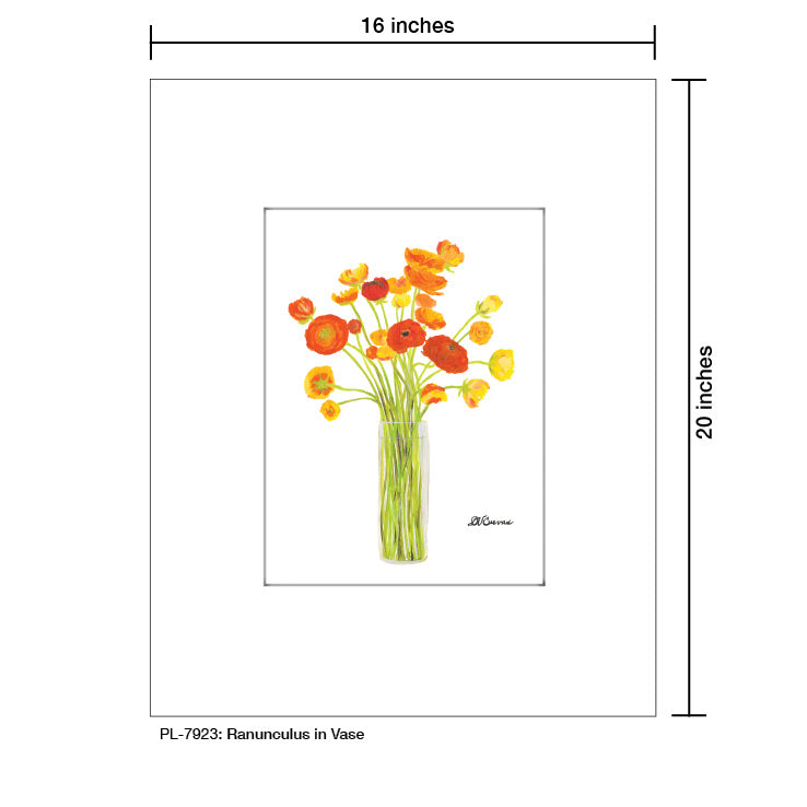 Ranunculus in Vase, Print (#7923A)