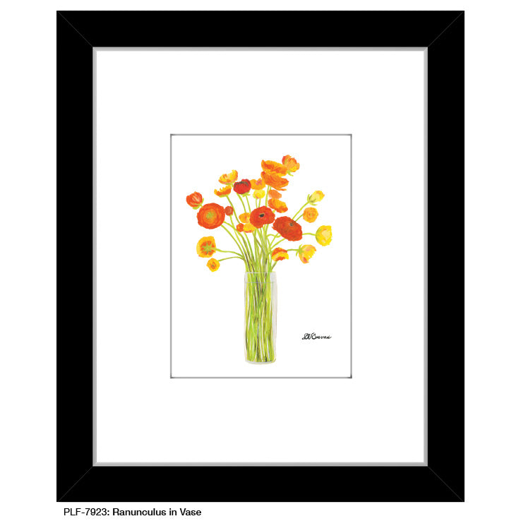 Ranunculus in Vase, Print (#7923A)