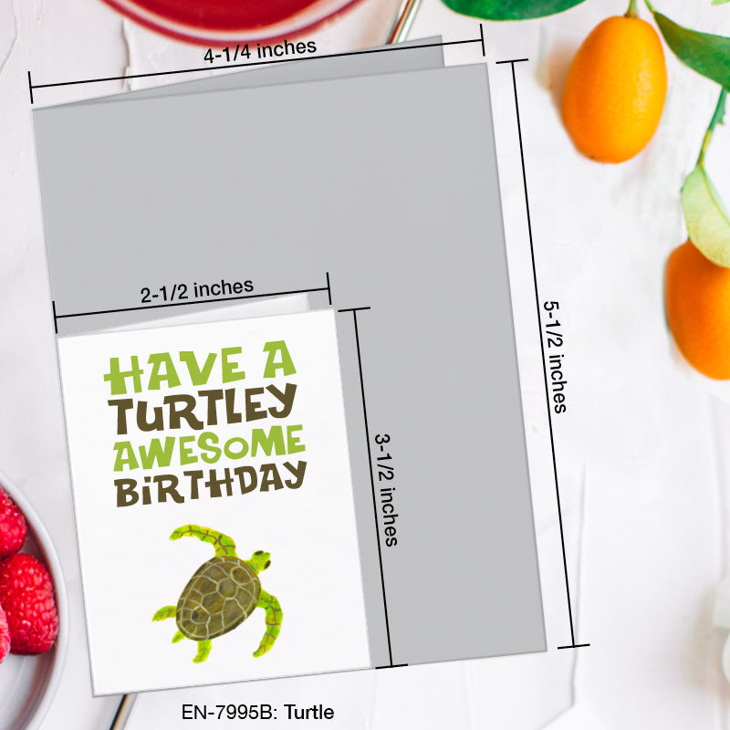 Turtle, Greeting Card (#7995B)