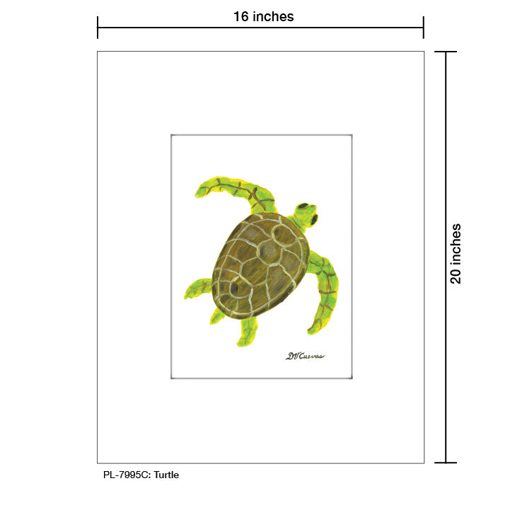 Turtle, Print (#7995C)