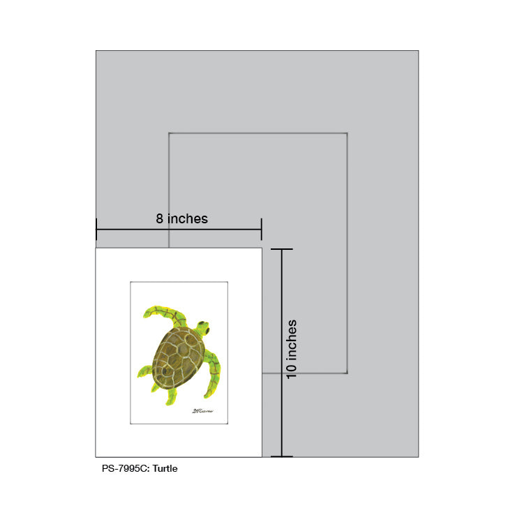 Turtle, Print (#7995C)