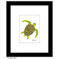Turtle, Print (#7995C)