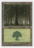 Forest (6ED-349) - Classic Sixth Edition