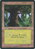Forest (FBB-306) - Foreign Black Border