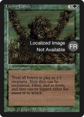 Living Lands (FBB-210) - Foreign Black Border