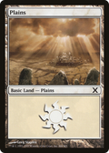 Plains (10E-366) - Tenth Edition Foil