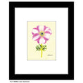 Lisa Anemone, Print (#8096G)