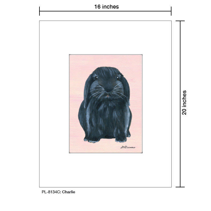 Charlie Bunny, Print (#8134C)