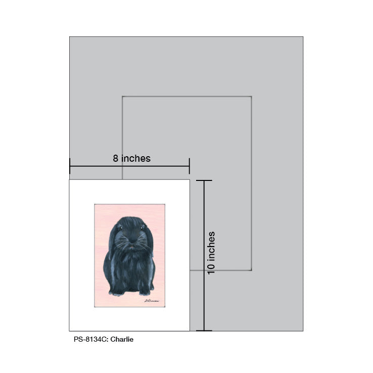 Charlie Bunny, Print (#8134C)