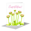 Pink Ranunculus Buds, Greeting Card (#8215B)