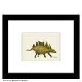 Stegosaurus Dinosaur, Print (#8218A)