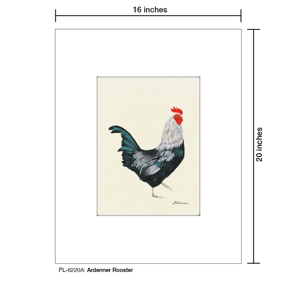 Ardenner Rooster, Print (#8220A)