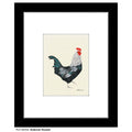 Ardenner Rooster, Print (#8220A)