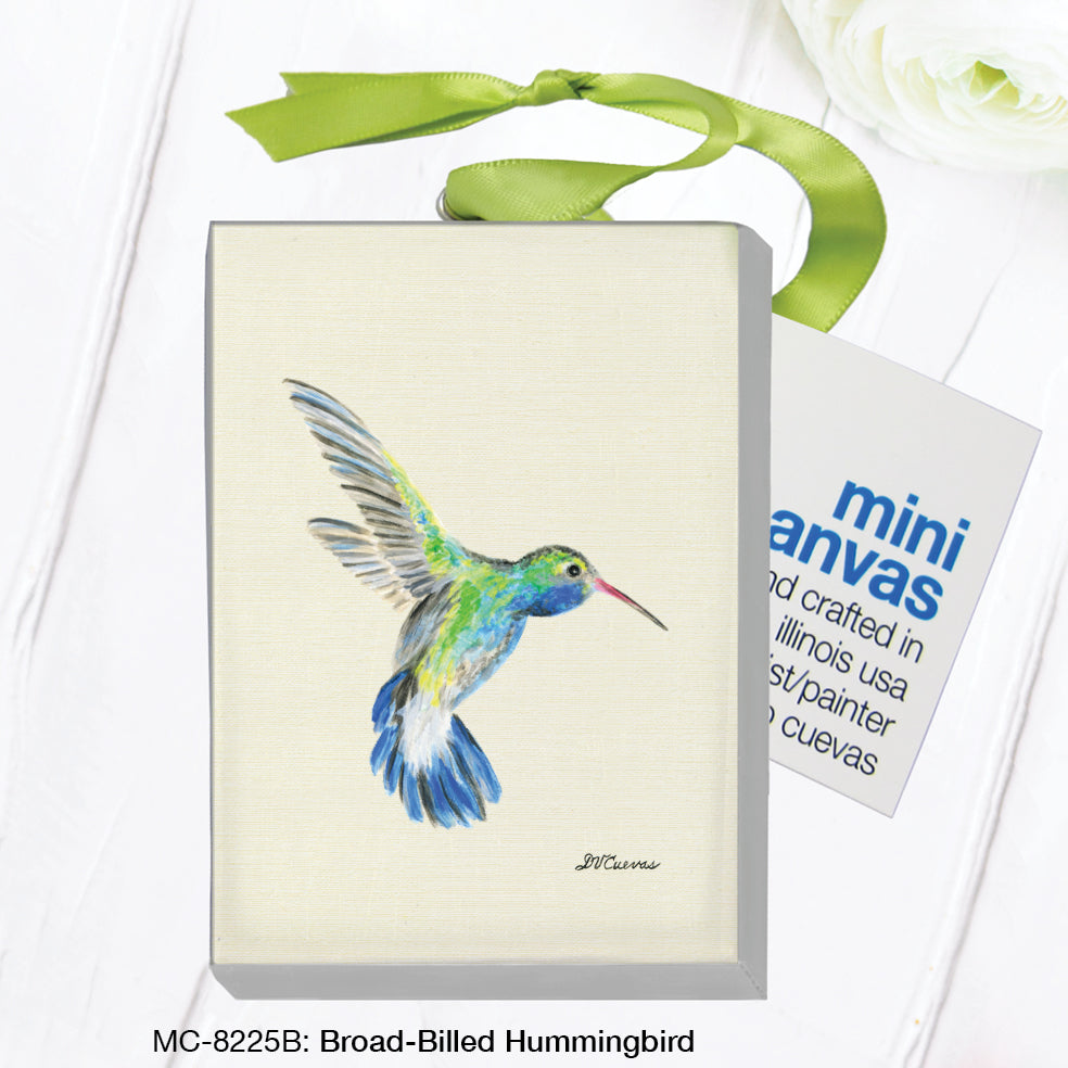 Broad-Billed Hummingbird, Mini Canvas (MC-8225B)