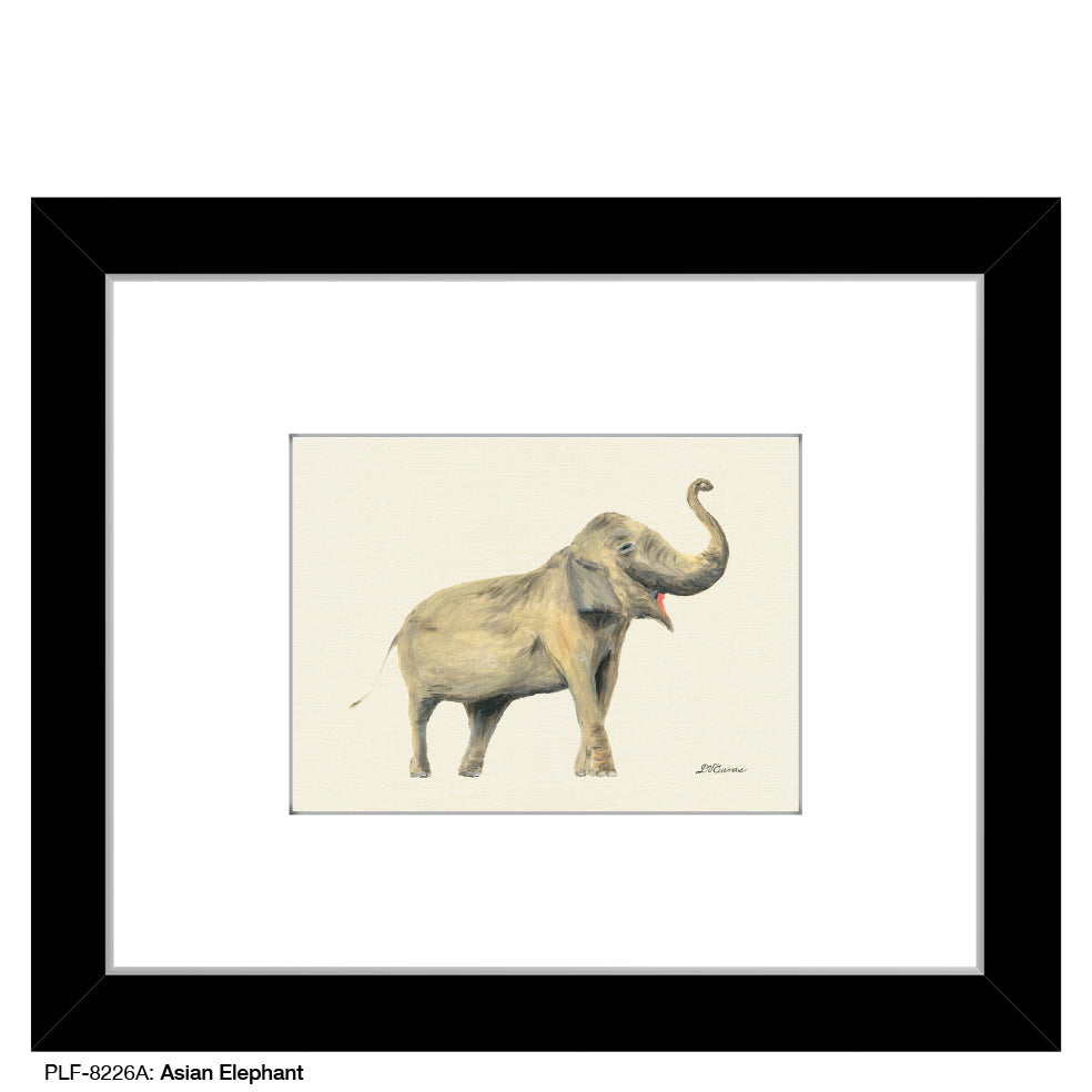 Asian Elephant, Print (#8226A)