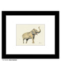 Asian Elephant, Print (#8226A)
