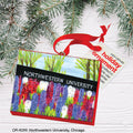 Northwestern University, Chicago, Ornament (OR-8269A)