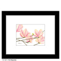 Pink Magnolias, Print (#8271B)